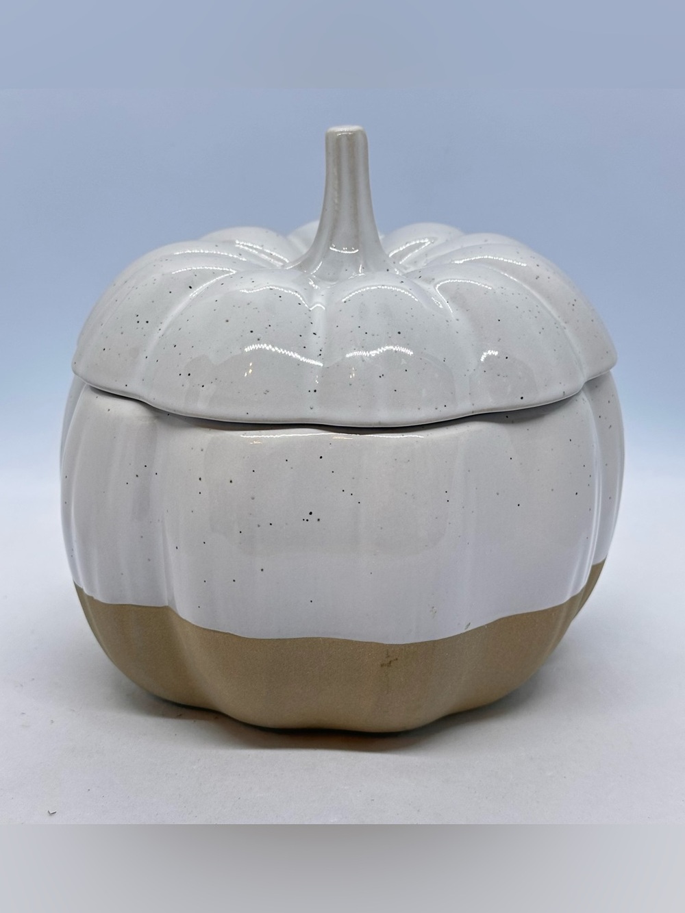 Better Homes & Gardens Exposed Clay Pumpkin Stoneware Cookie Jar Tabletop Decor